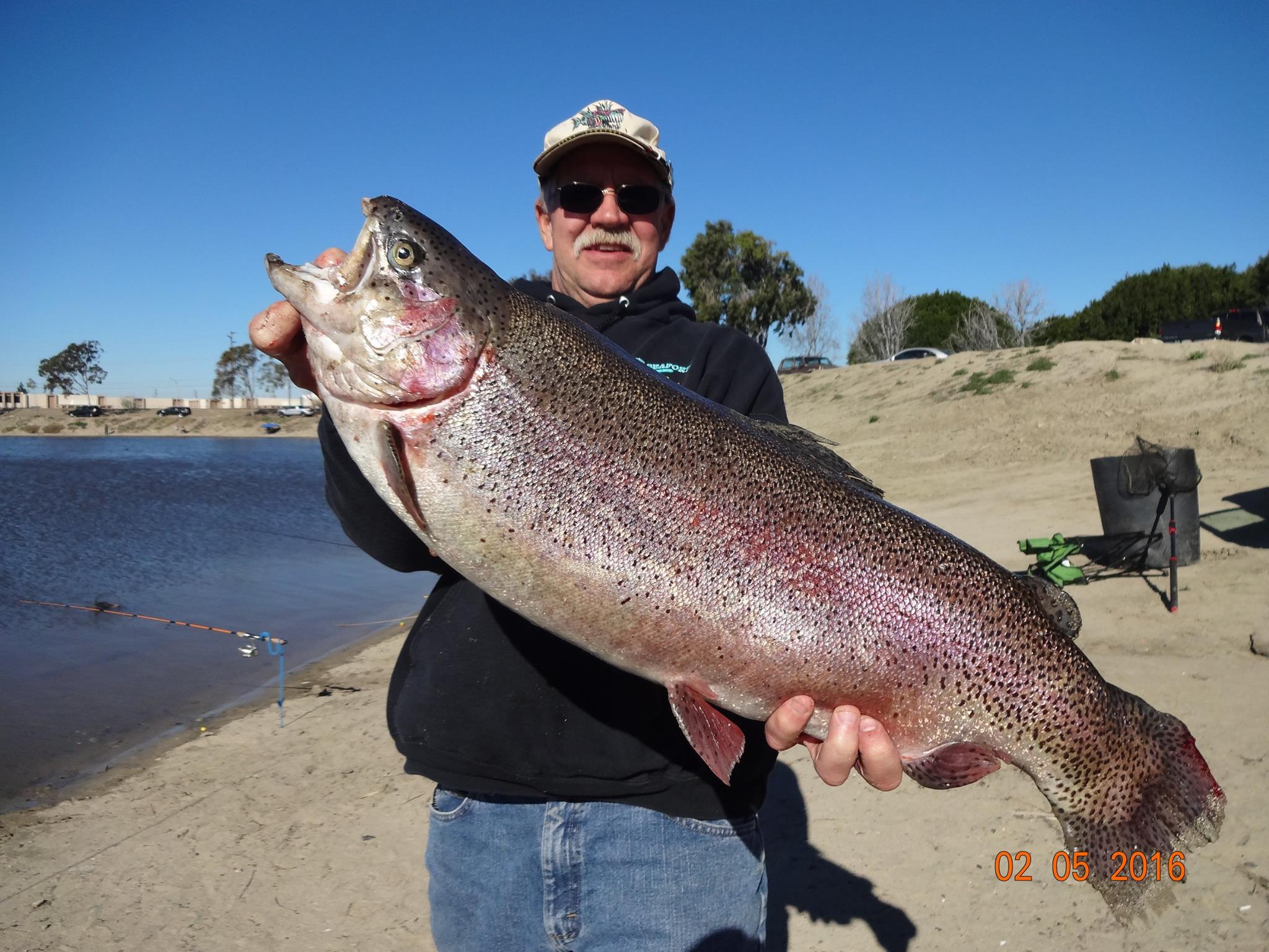 Donnell lake ca fishing report