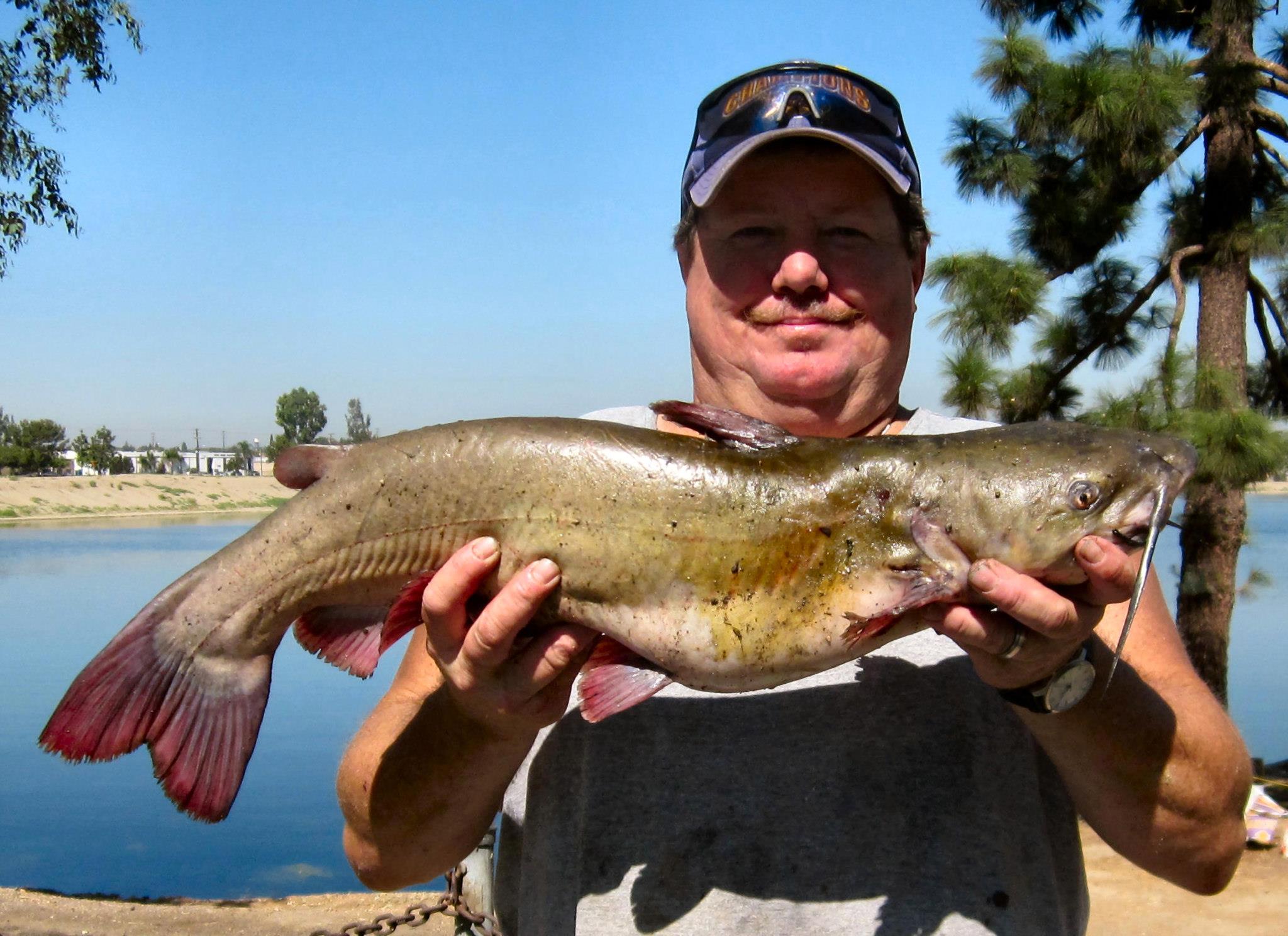 Robert Cox – 9 pound catfish !!