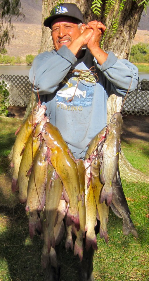 Santiago P – 22 catfish totaling 74 pounds !!