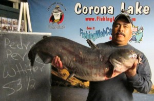 1-9-13 - Pedro P. 53.5 lbs cat !!