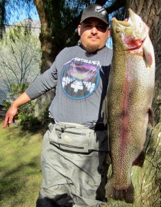 Frank Hernandez 19 pound trout !! !!