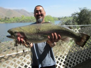 CORONA FISH REPORT 3-27-13