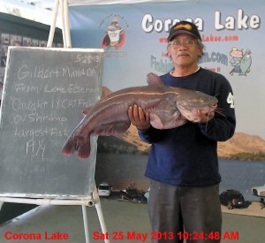 CORONA FISH REPORT 5-28-13