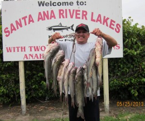SARL FISH REPORT 5-28-13