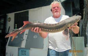 SARL FISH REPORT 5-8-13
