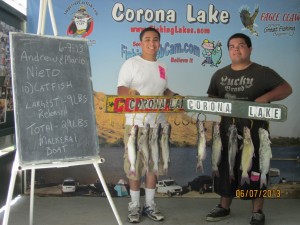 CORONA FISH REPORT 6-12-13