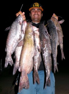 Lake Guide Eddie - SARL catfish