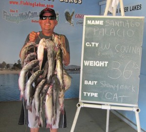 santiago palacio 36 pound 8 oz stringer