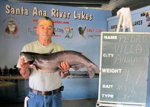Pedro Villa - 17 pound cat at SARL