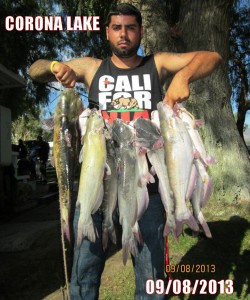 Jose Aguilar - 38 pound 10 ounce - ten catfish overnight limit - fishing at corona lake
