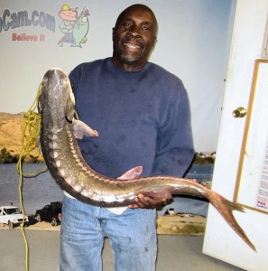 Silvera Grant - 20 pound sturgeon - Corona Lake