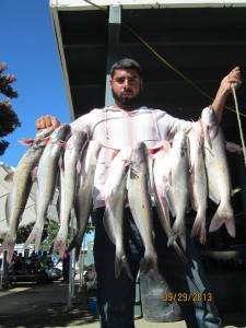 Jose Aguilar of Santa Ana caught 10 catfish totaling 26 pounds 12 ounces using shrimp from boat in the middle of the lake