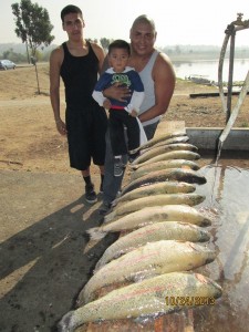 SARL fish report 10-30-13