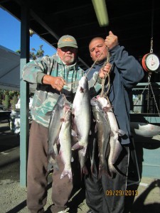 Varian Virgin & Fernando Diaz of Garden Grove caught 10 catfish totaling 34 pounds 14 ounces using mackerel from a boat