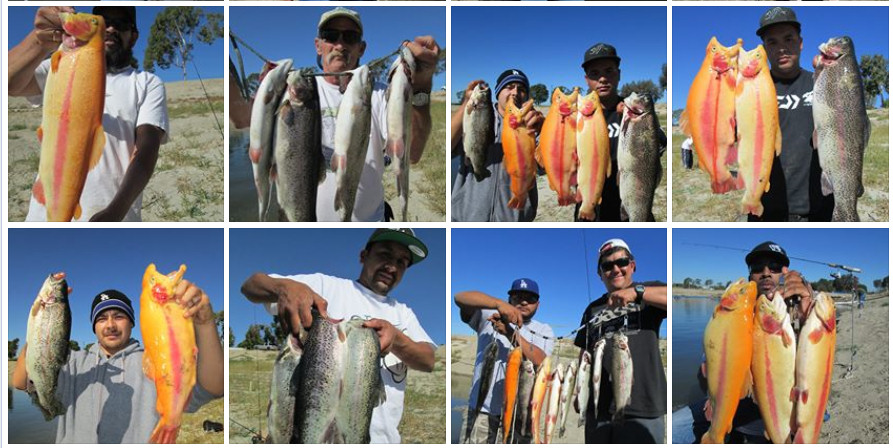 lightning trout catches 10-31-13