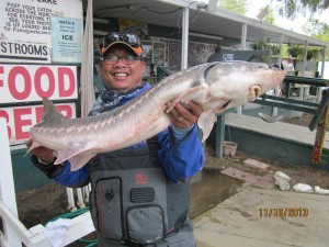 Alex Braton - 18 pound sturgeon - caught & released - corona lake