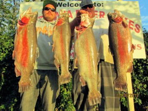 Dave Pierson of Garden Grove & Jeff Berg of Lakewood caught 5 trout totaling 50 pounds _SARL