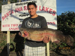 17 pound 8 ounce trout - SARL
