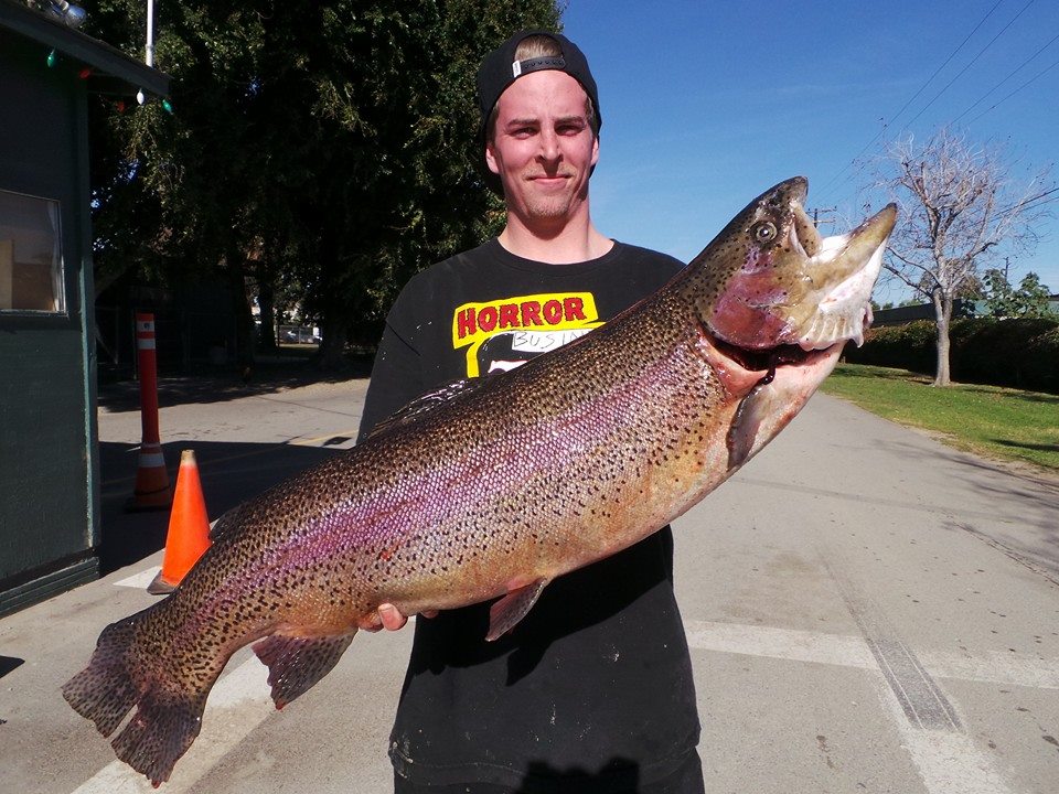 Nate caught this 18.5 using Mr. White LGE worm