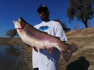 Tramel Kerl of L.A. 17 pound 8 ounce trout - SARL