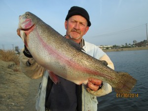 Al Rotta with 14 pound 1 ounce trout  - SARL