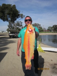 Frank Moore 7 pound 3 ounce lighting trout - SARL