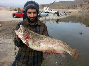 Hrach Saskisian of Glendale landed a 15 pound monster trout using a Power-mouse fishing at the Dam