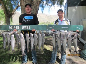 Jeff Chodowski of Chino & Adrian Contreras Jurupa Valley caught 20 catfish totaling 59 pounds their largest cat at 6 pounds 8 ounces using shrimp from a boat - Corona Lake