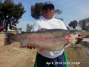 Tony Lopez of East L.A. caught a 13 pound 8 ounce trout using rainbow Power-Bait at the Pump House - SARL