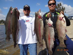 eam up to land 5 trout totaling 60 pounds !!  Their heaviest trout weighed in at 15 pounds 10 ounces using both Mice tails and Mijo Minnows at the boat dock