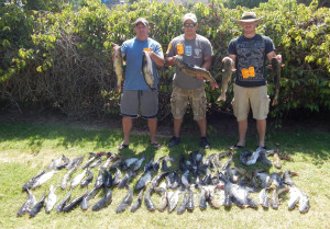 3 anglers with 75 catfish totaling 225 at SARL