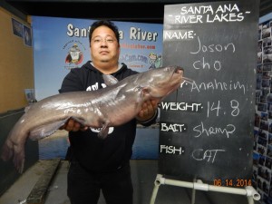 Jason Cho of Anaheim caught and released a 14 pound 8 ounce catfish using shrimp from a boat - SARL