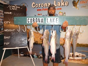 Alec Valcenciano of Riverside caught 5 catfish totaling 17 pounds 10 ounces, his largest catfish weighed in at 5 pounds using shrimp from a boat. at Corona Lake
