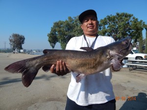 Julio Uurrutia of Placentia caught 6 catfish totaling 27 pounds 8 ounces, this is a pic with his largest cat that weighed in at 15 pounds 8 ounces using mackeral at the B