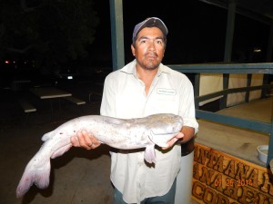 Pablo Gomez of Fullerton with his 7 pounds 5 ounces catfish caught using shrimp in the Catfish Lake.
