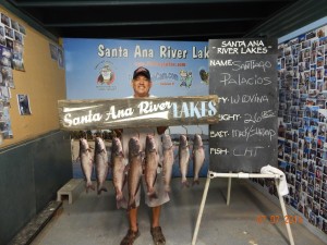 Palacious of W. Covina caught 7 catfish totaling 26 pounds, his largest cat at 6 pounds using shrimp at SARL.