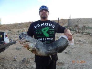 Rodrigo Sanguino of Riverside caught and released 25 pound blue catfish using shrimp at the Dam - Corona Lake