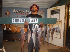 Darrell Davidson of L.A. caught 7 catfish totaling 20 pounds, his largest cat 6 pounds using mackerel at the Dam - Corona LAke
