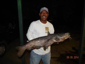 Arnold Turner of Whittier caught and released a 20 pound catfish using a shrimp & marshmallow combo at The Road in the Big Lake