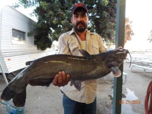 Erasmo Salas of Compton caught and released a 18 pound catfish using mackerel it the Catfish Lake.
