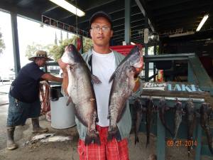 Tuan Mai of Corona caught 10 catfish totaling 41 pounds 13 ounces using fresh mackerel from his float tube in the big lake.