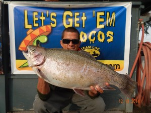 David Rochin of Anahem caught a 13 pound 8 ounce trout using a LGE Customs mouse tail fishing in Chris' Pond