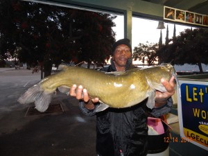Doug Cherry of Placentia caught & released a 17 pound catfish using mackerel at the Bubble Hole