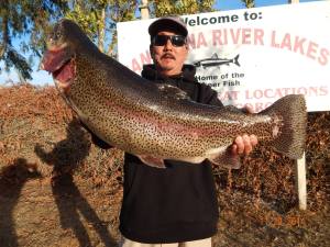 Glenn Matsushita of Gardena caught this 11 pound 8 ounce trout using a jig from a boat at the Bubble Hole