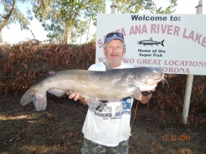 Al Rotta of Lomita caught & released a 23 pound catfish using mackerel in Chris' Pond