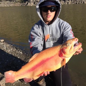 Chad Homan of Esondido caught a 7 pound Lightning Trout using PowerBait at the Dam