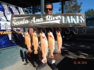 David Rochin of Fullerton caught 5 Lightning Trout totaling 10 pounds 8 ounces, his largest weighed in at 4 pound 8 ounces using PowerBait in Chris' Pond