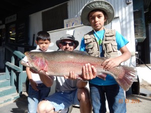 Drew, Adrian & Tim Kiley family of Cerritos teamed up to land a 16 pound male hook jaw trout using a plastic worm fishing at the Big Pipe in Chris' Pond
