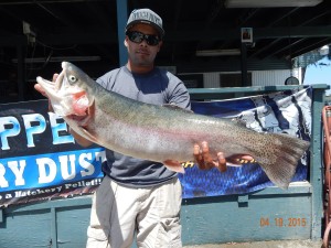 Frank Chavez of South Gate caught a 12 pound 8 ounce trout using chartreuse garlic PowerBait fishing in Chris' Pond