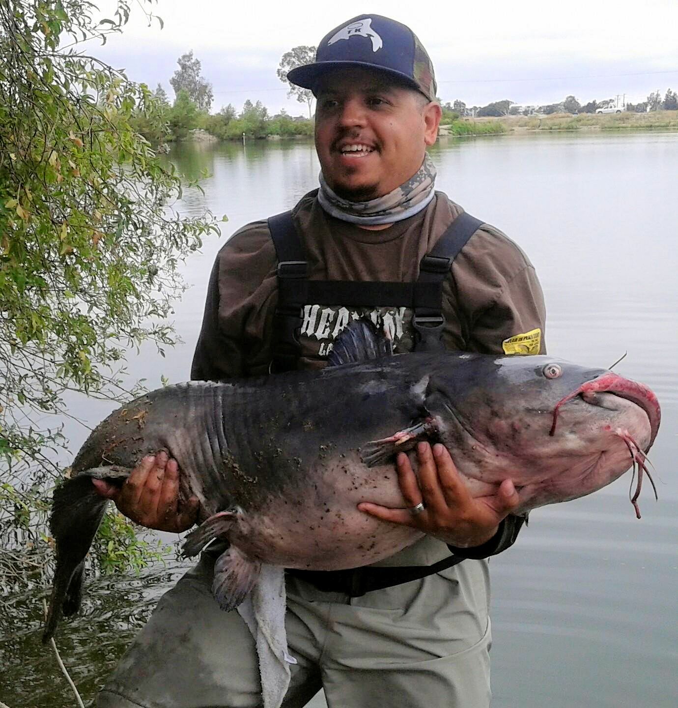 CURRENT FISH REPORT 6 17 15 FishingLakes